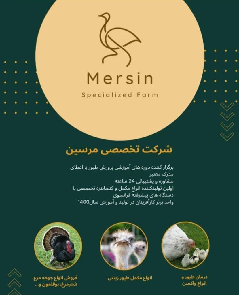 تولید و پرورش تخصصی دام و طیور مرسین در اصفهان