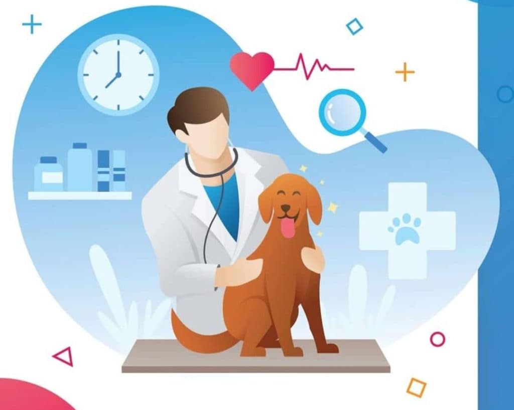 کلینیک دامپزشکی هاپولند در کیانمهر کرج