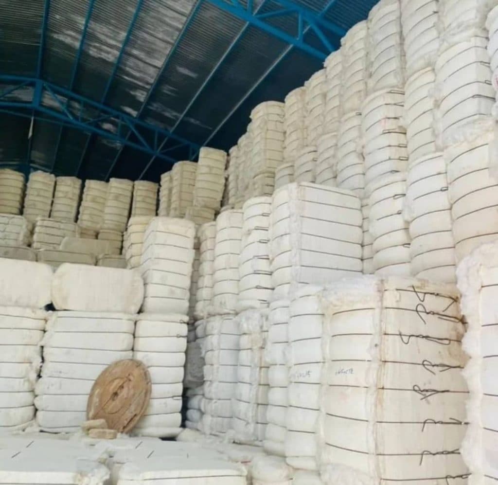 تولید و فروش محلوج پنبه و وش پنبه داران خراسان در بجنورد