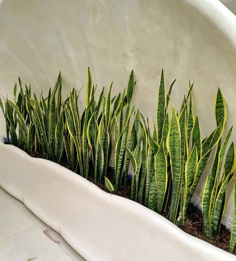 مدرس و مجری تکنیک های پتینه زهرا خلیلی در شیراز