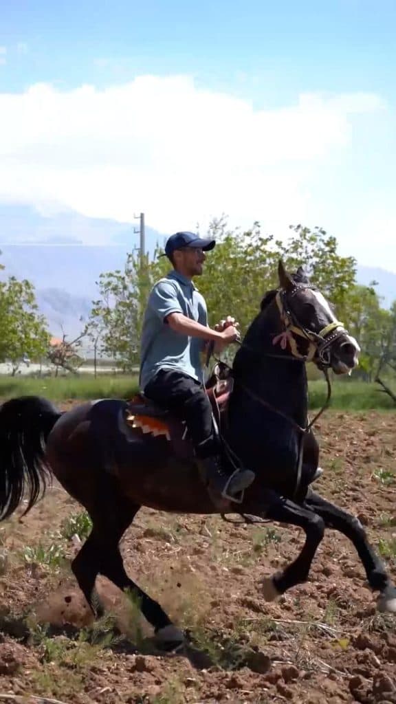 مجتمع اسب سواری و سوارکاری ایرانیان در آبسرد