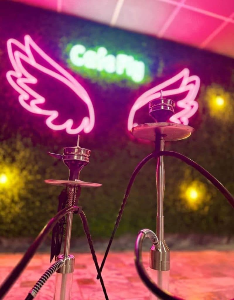 کافه فلای در اردبیل