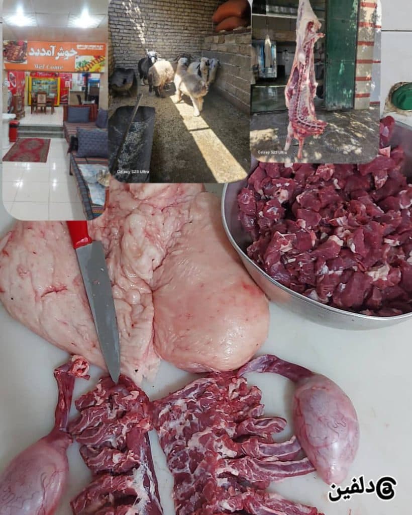 کبابی دلفین در کوار