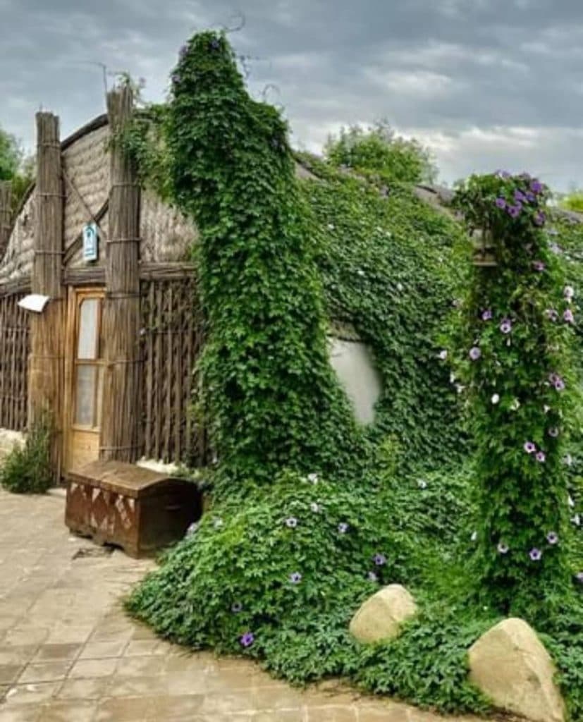 اقامتگاه بومگردی ریتاج در اهواز