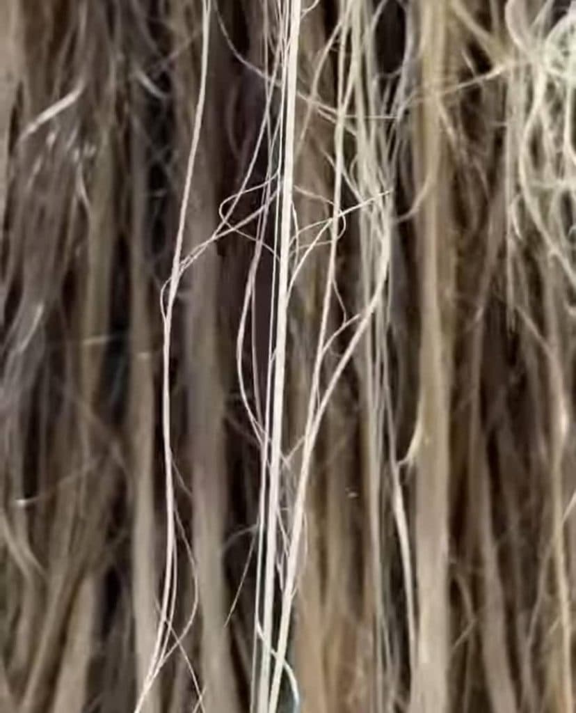 مرکز تخصصی آموزش و کراتین مو الناز داوودی در رشت