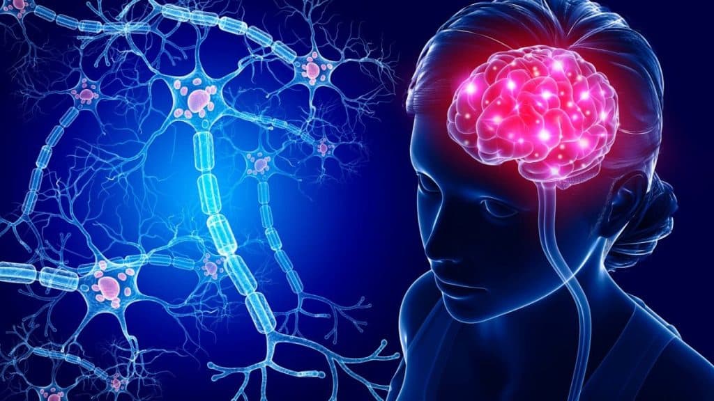 مرکز مشاوره عمومی و روانشناسی نیلوفر آبی در شیراز