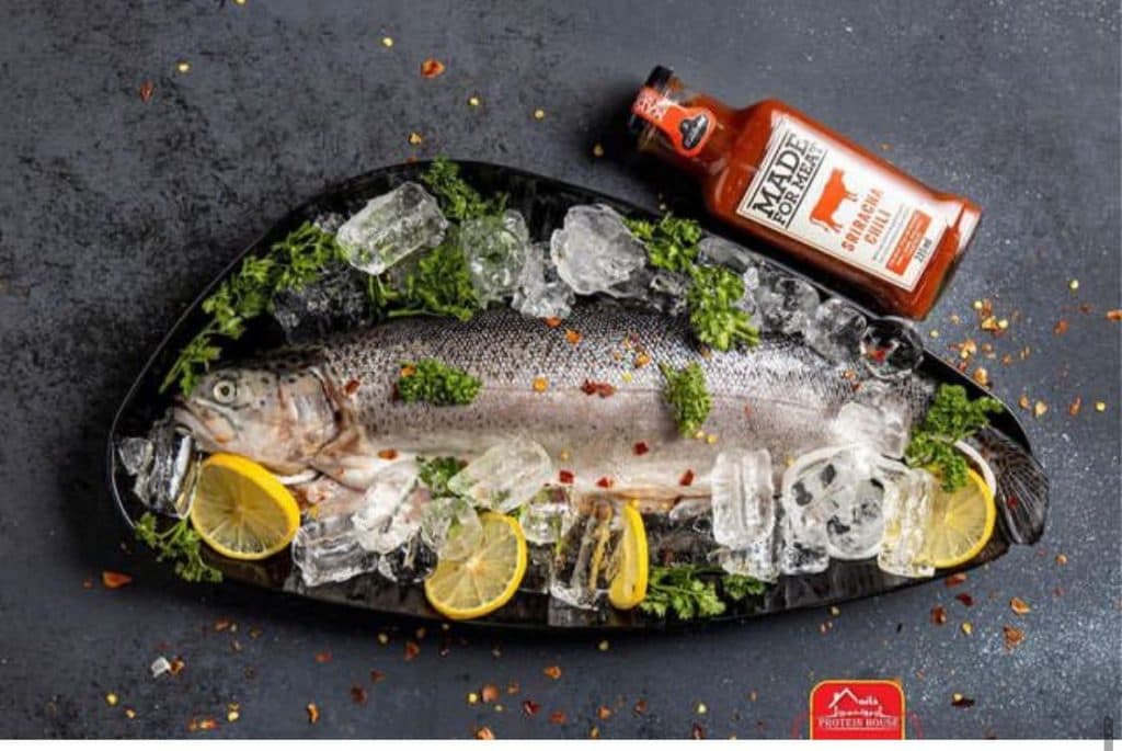 خانه پروتئین تارمه در شیراز