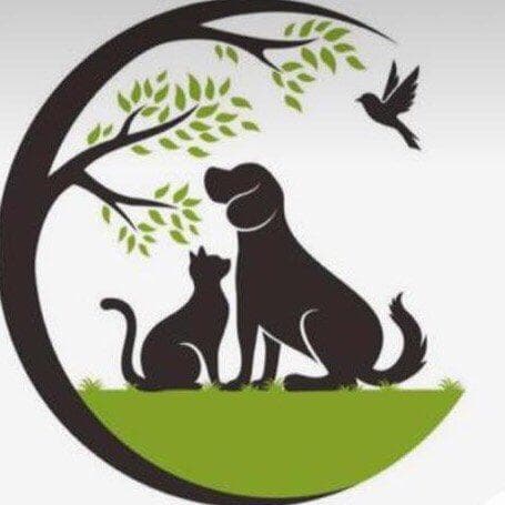 کلینیک دامپزشکی آرنیک در گوهردشت کرج