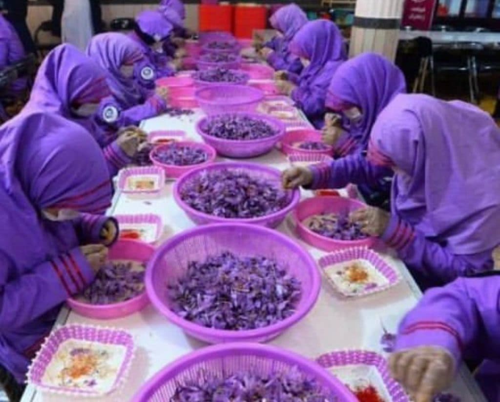 کار در منزل واریان گستر کیان کار در پرند