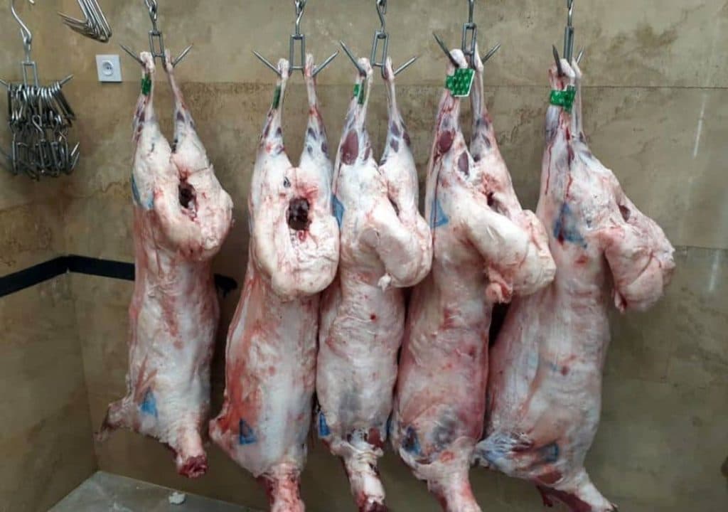 ذبح گاو و گوسفند مهران طالبی در سمنان