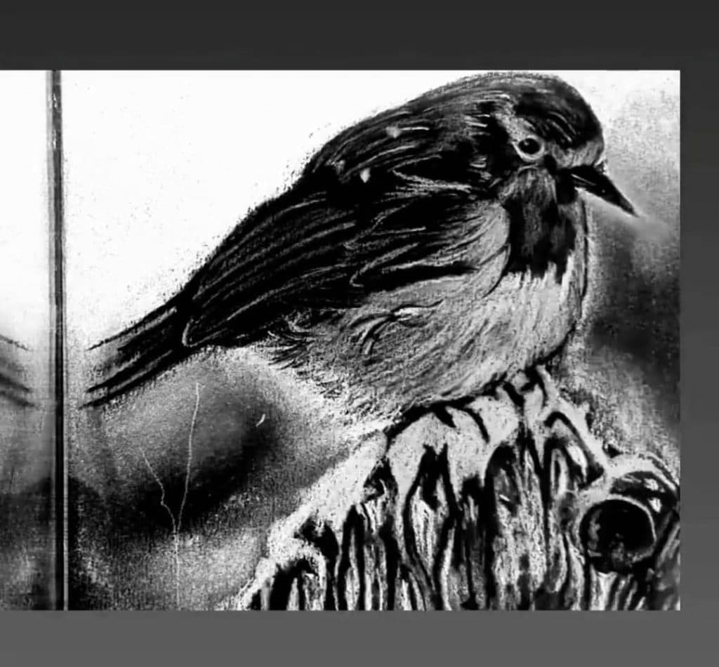 آموزشگاه نقاشی مینا در بلوار استقلال یزد