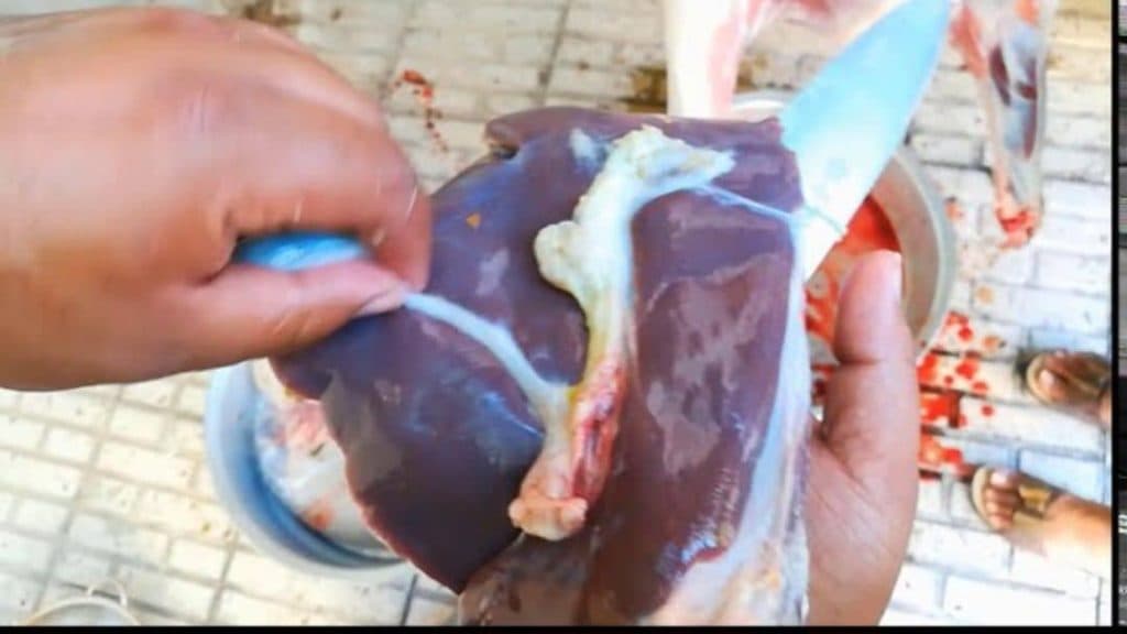 ذبح گاو و گوسفند مهران طالبی در سمنان