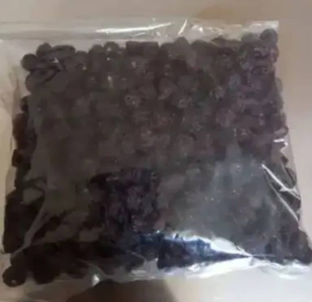 میوه خشک و خشکبار سنجاب در سردشت