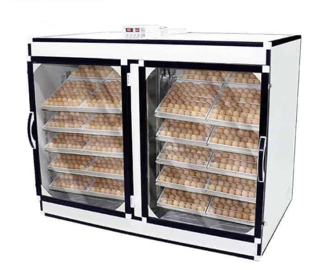 تولید دستگاه جوجه کشی شیرزاد در قم