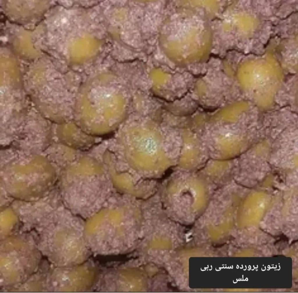 زیتون پرورده شادونه در منجیل