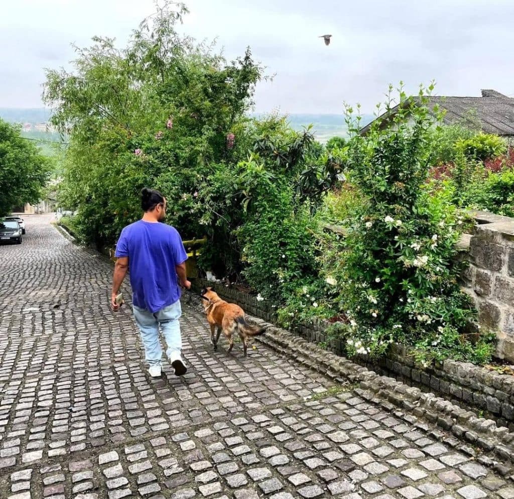 آکادمی آموزش سگ دلتا در بندرعباس