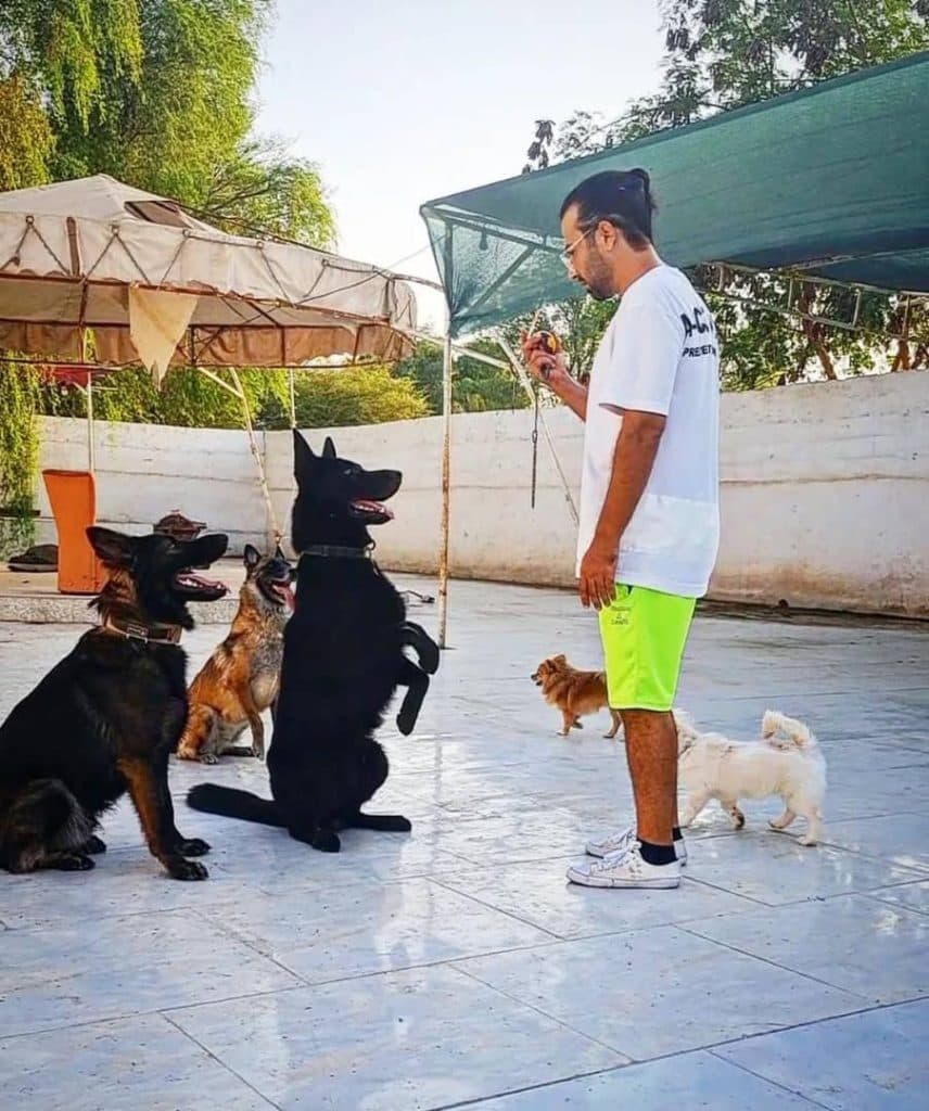 آکادمی آموزش سگ دلتا در بندرعباس