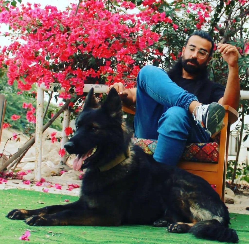 آکادمی آموزش سگ دلتا در بندرعباس