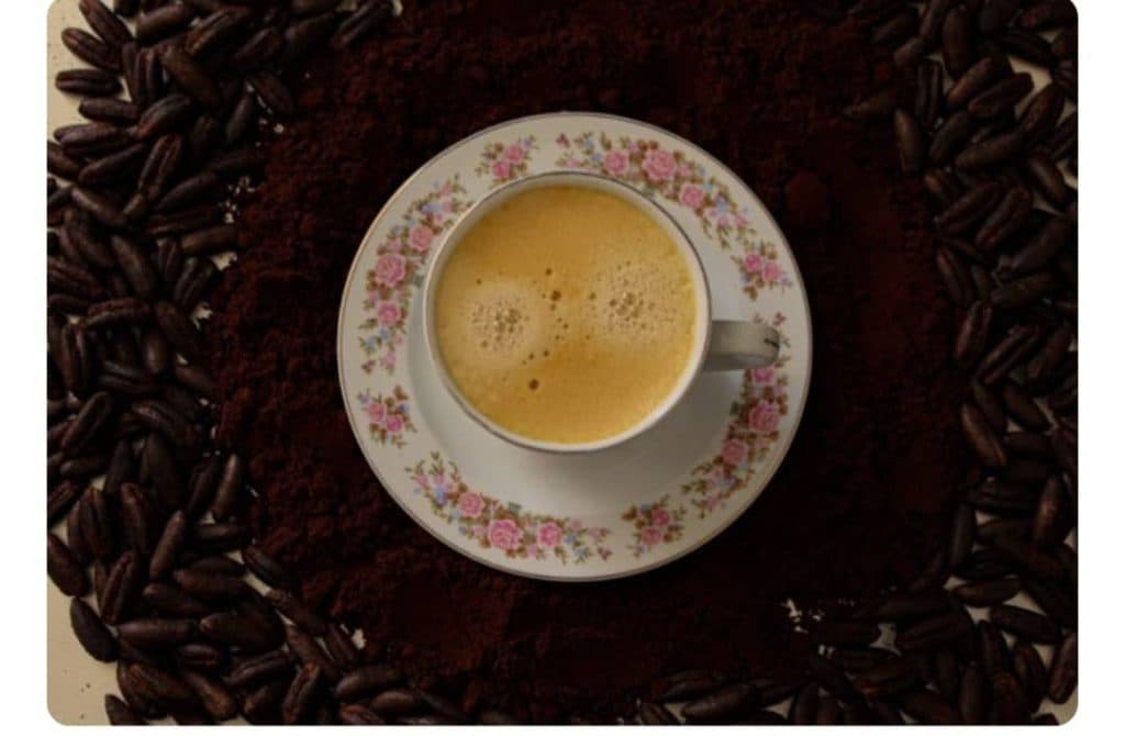 پخش قهوه هسته خرما نخل داران در بوشهر