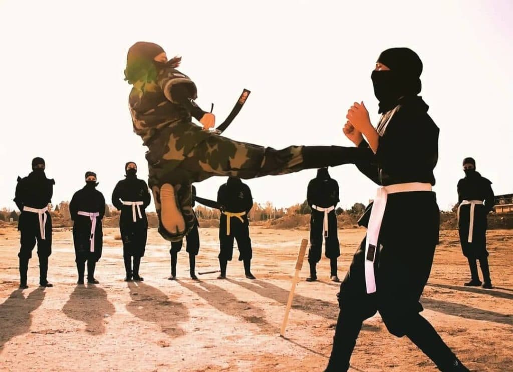 آکادمی رزمی خانه نینجا سایه در شاهین شهر