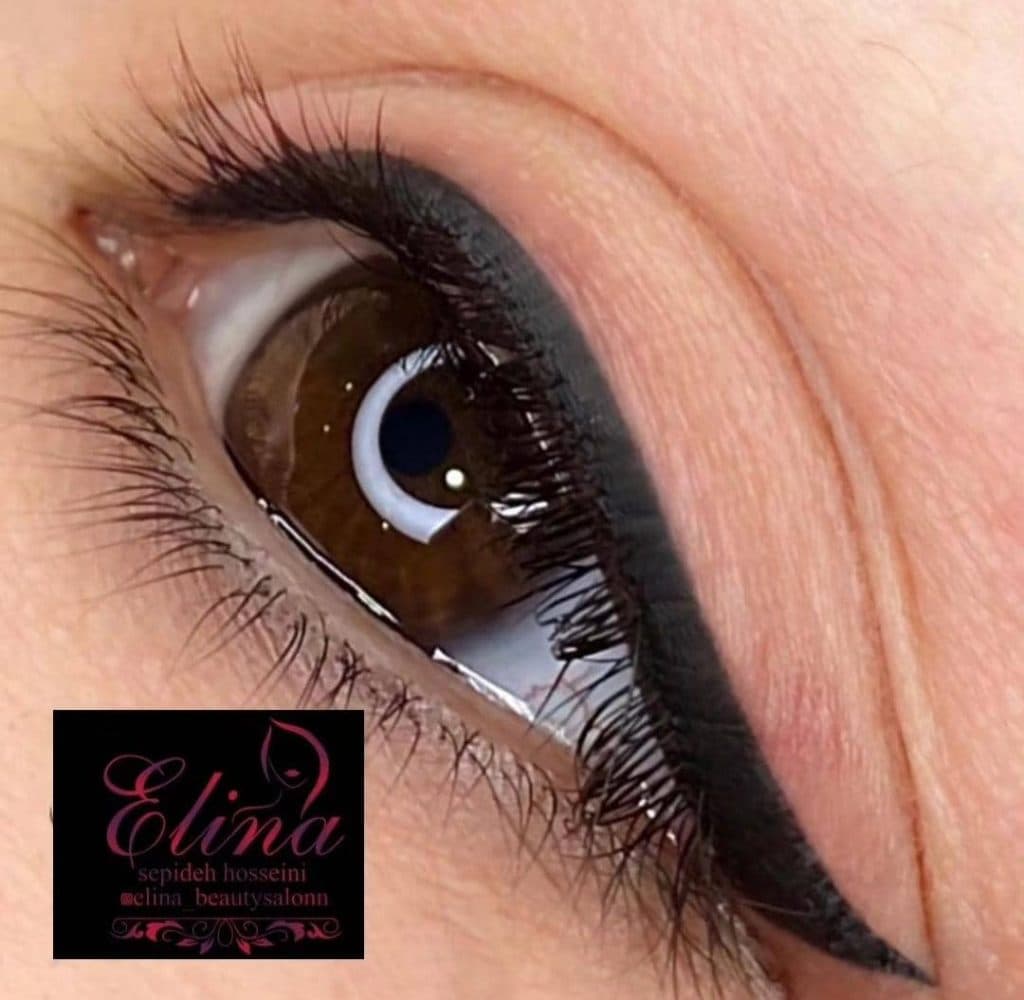 آکادمی فنی و حرفه ای آرایش دائم الینا Elina در یزد