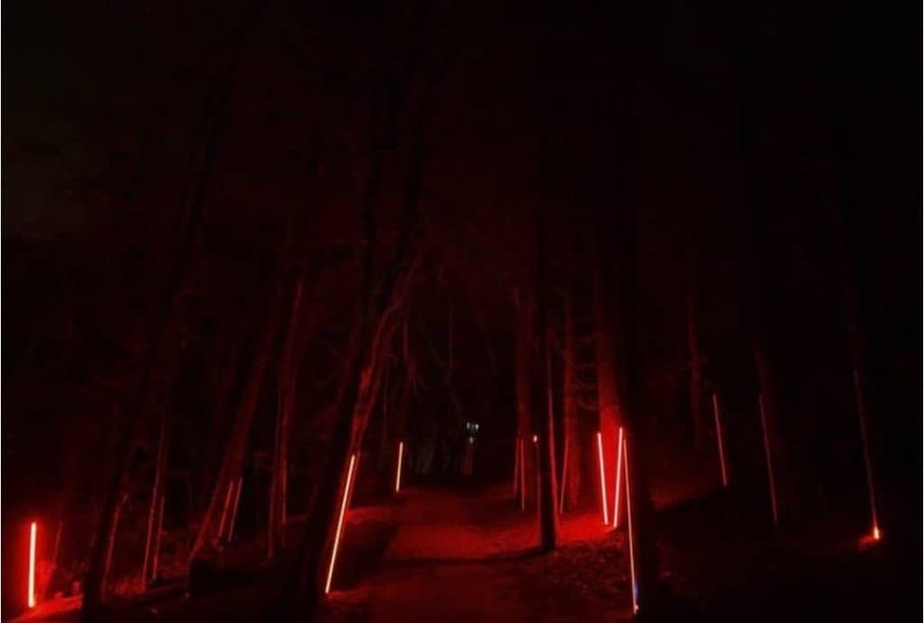 چراغ و لوستر خطی آمیتیس لایت در کرمان