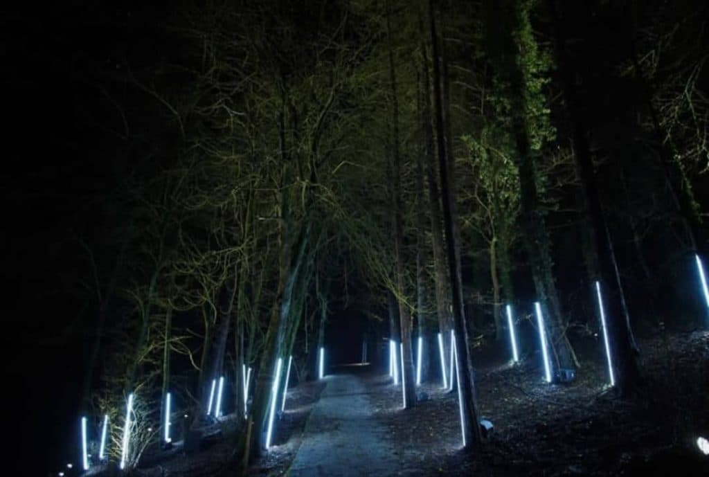 چراغ و لوستر خطی آمیتیس لایت در کرمان