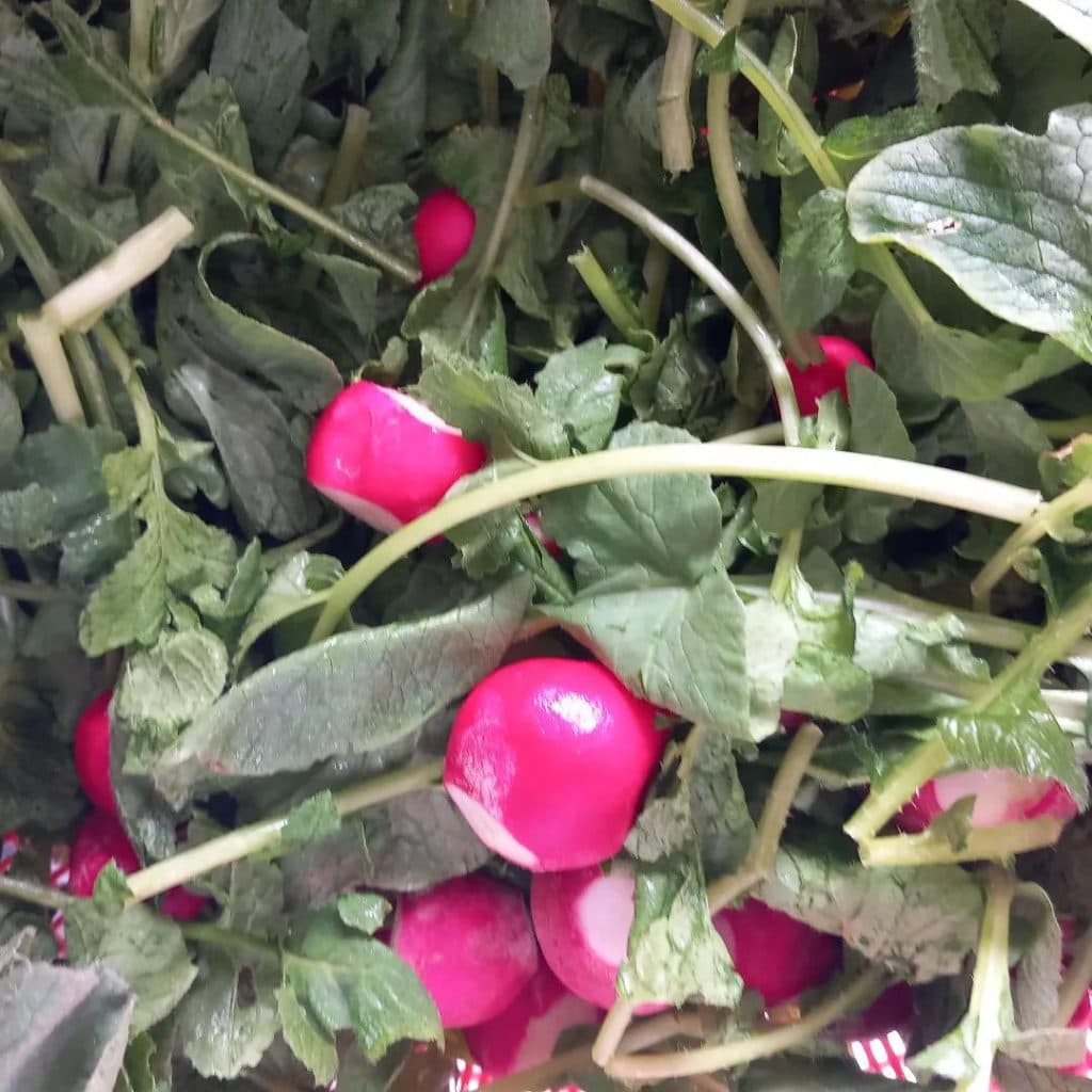 سبزیکده کدبانو در پرند تهران