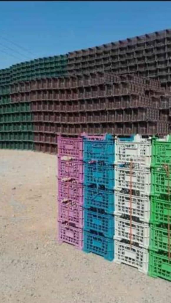 کارخانه تولید سبد میوه طاها پلاس در قزوین