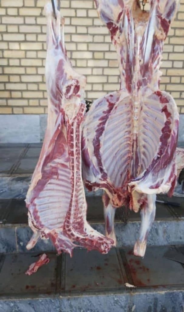 ذبح گاو و گوسفند مهران طالبی در سمنان