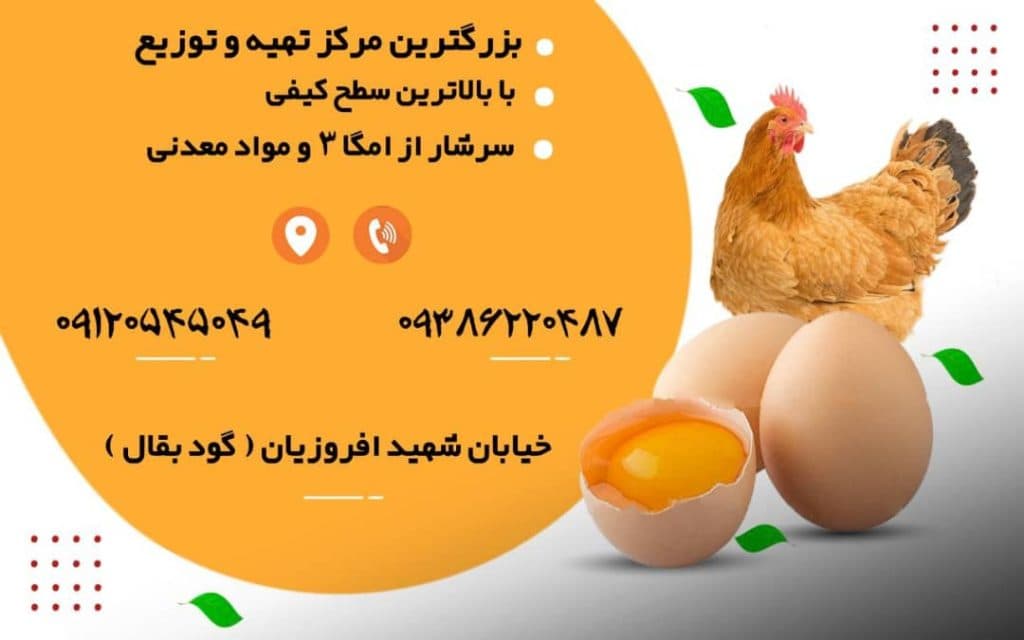 مرکز تهیه و توزیع تخم مرغ حسن پور بهبهان