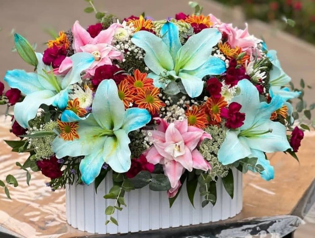 گل فروشی گل گندم در آمل