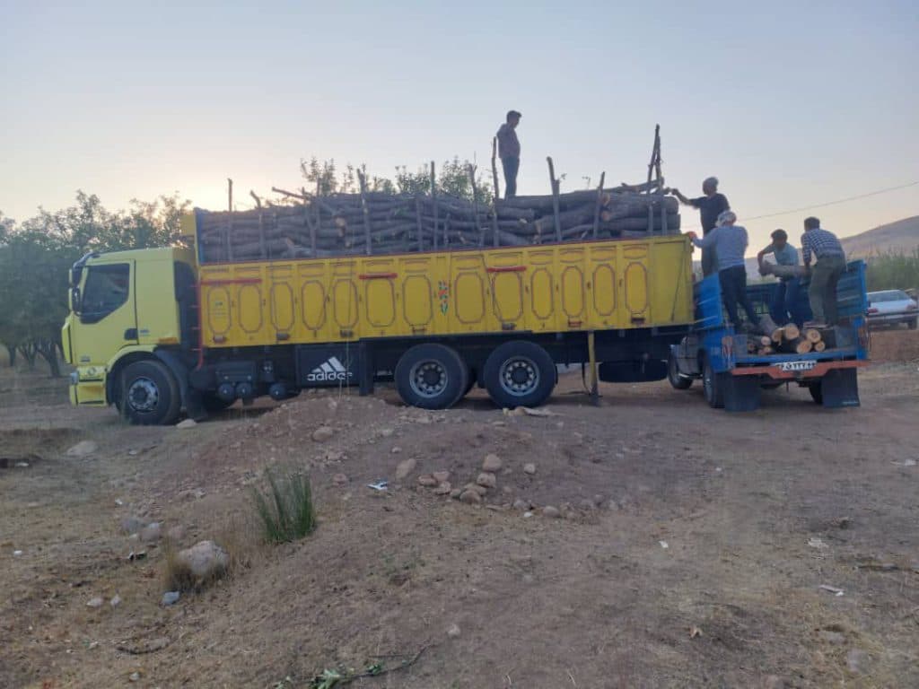 تولید و فروش چوب و پالت کیوان افشاری در اصفهان