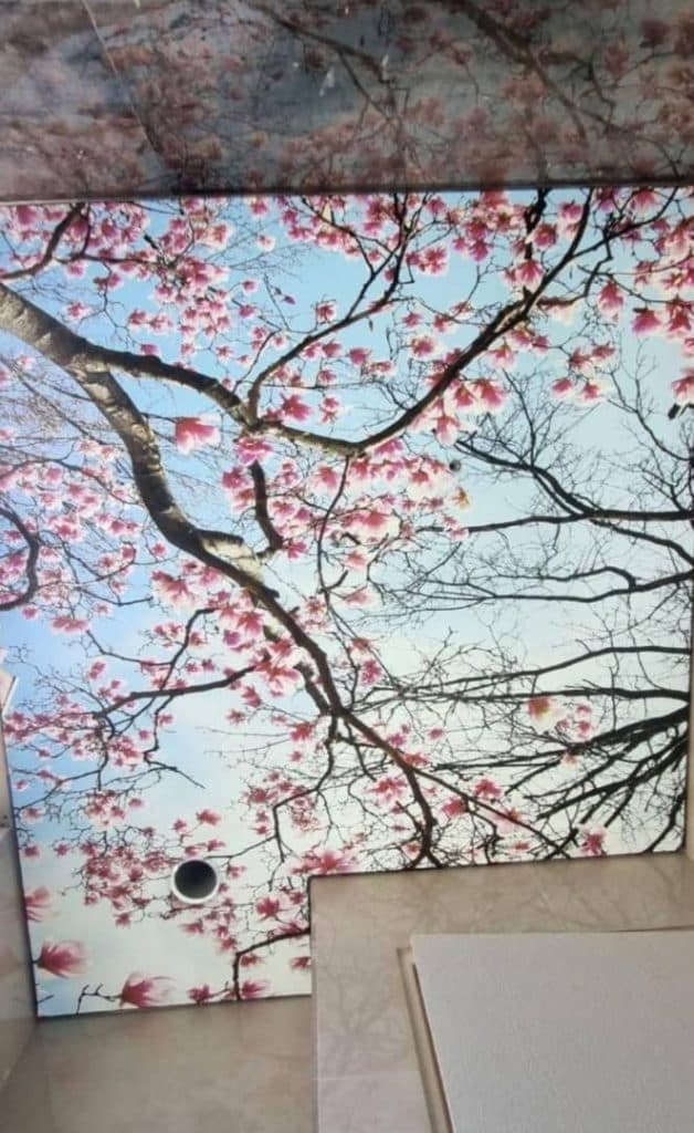 سقف کشسان مستر کشسان در قم