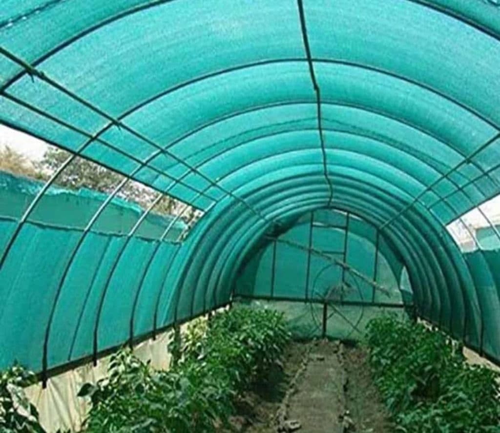 نایلون گلخانه برادران در جویبار