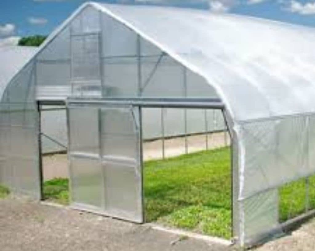 نایلون گلخانه برادران در جویبار