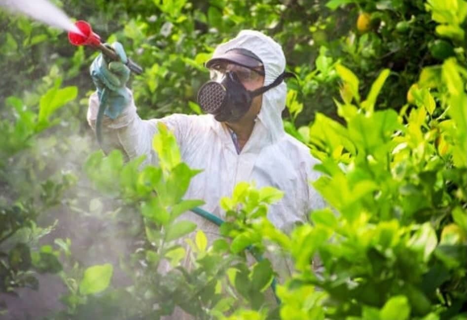 سمپاشی گیتی مهر سبز در یزد