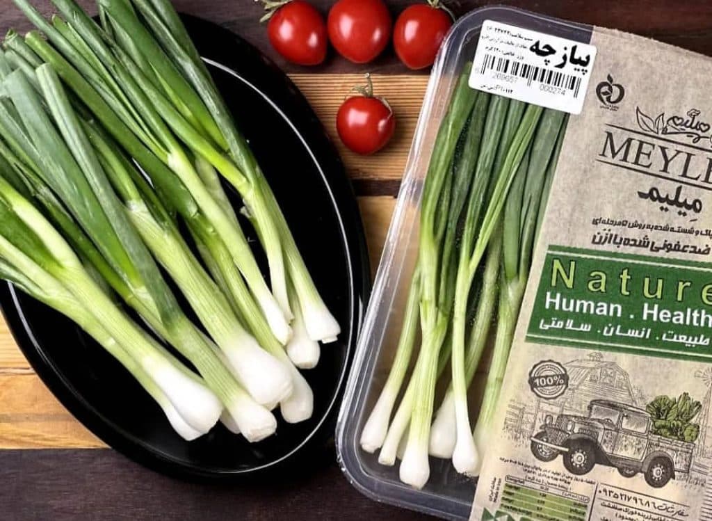 محصولات غذایی خاتون در رشت