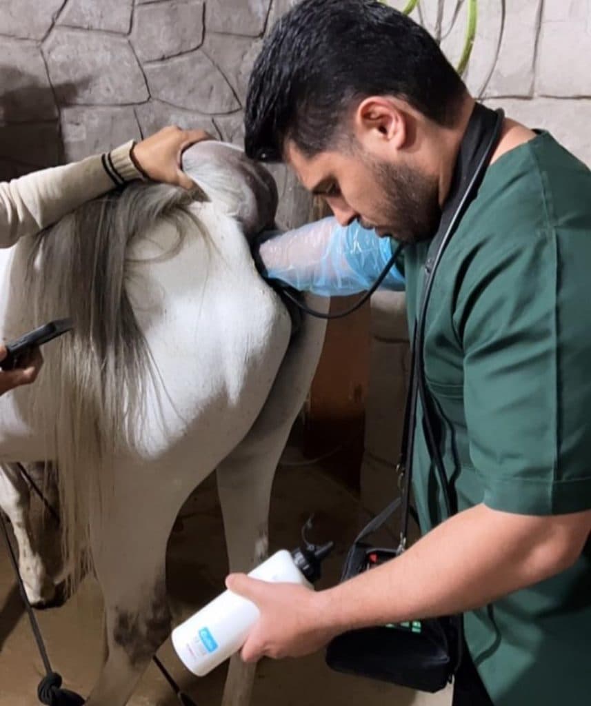 کلینیک دامپزشکی دکتر ضیاالدینی در مطهری رفسنجان