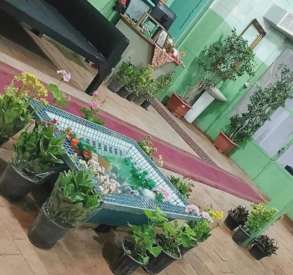 کافه پاچنار در فرحزاد تهران