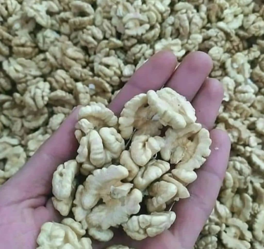 نهالستان اسدلو در خوی