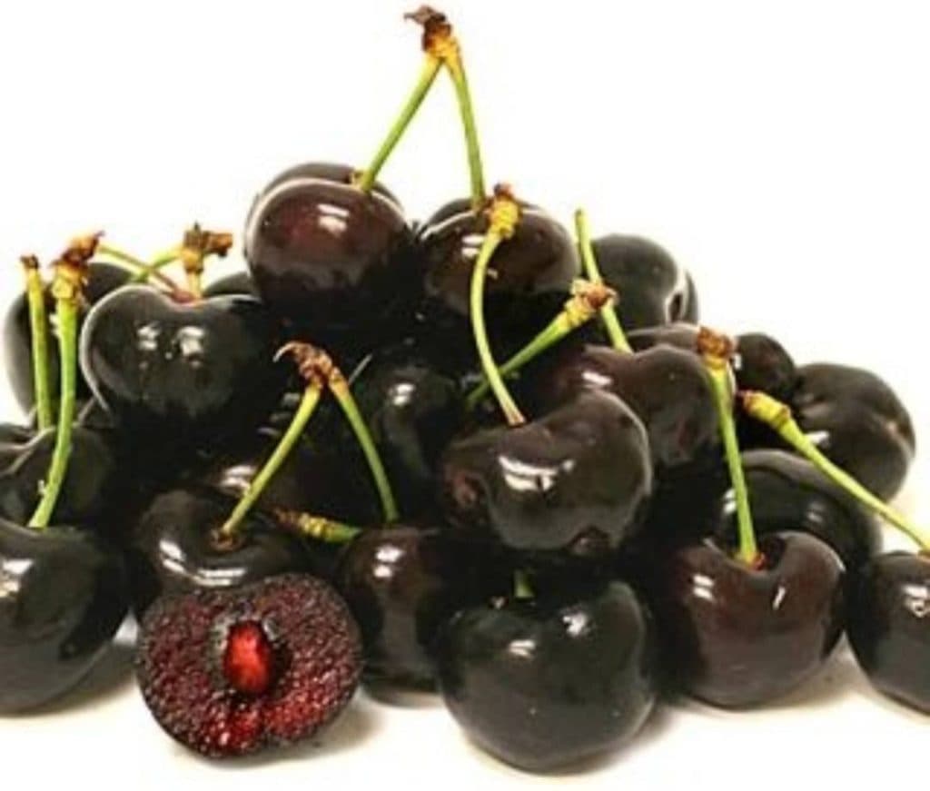 نهالستان اسدلو در خوی