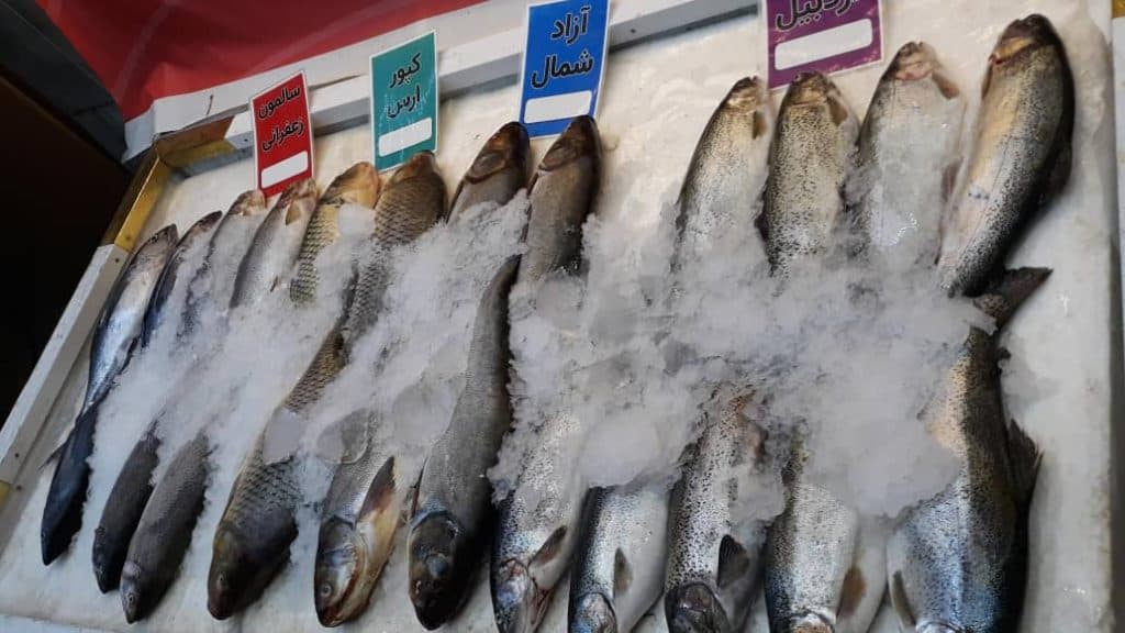 فروشگاه مواد غذایی پروتئینی پروین اعتصامی در نیشابور