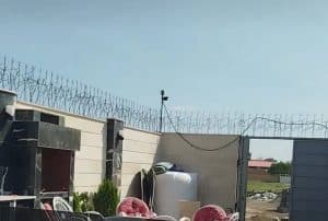 تولید و پخش عمده حفاظ شاخ گوزنی حقیقت در تهران