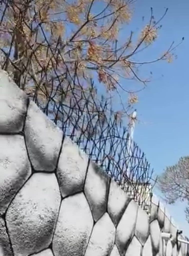 تولید و پخش عمده حفاظ شاخ گوزنی حقیقت در تهران