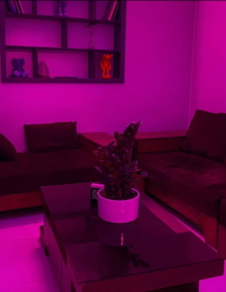 کافه ماتو matoo در بابل