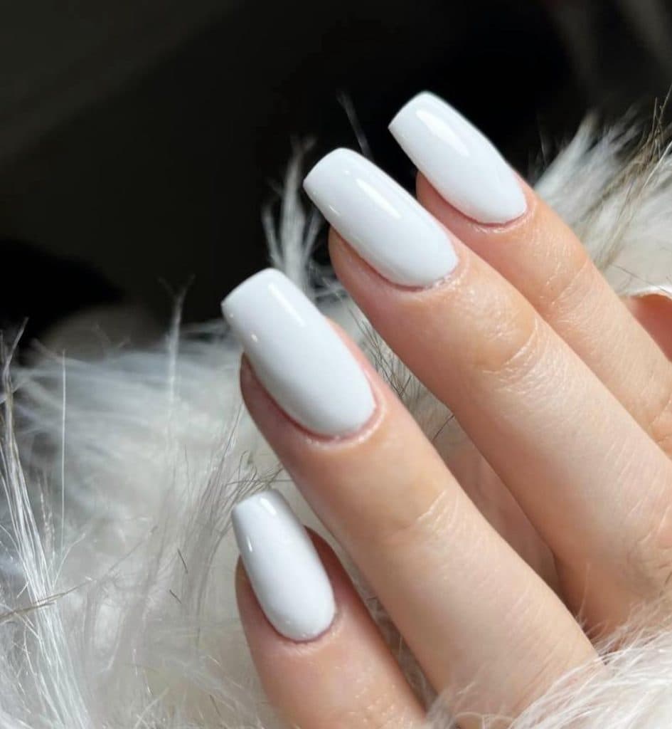 سالن زیبایی پیدا در شکریه همدان