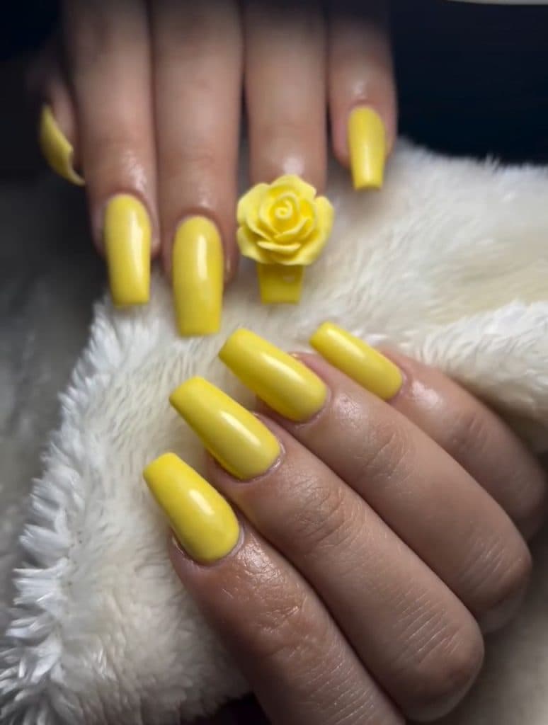 سالن زیبایی الینا ندیمی در پدیده سهند