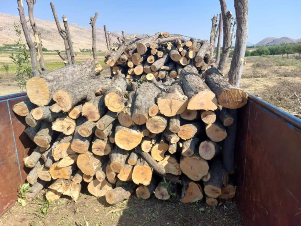 تولید و فروش چوب و پالت کیوان افشاری در اصفهان