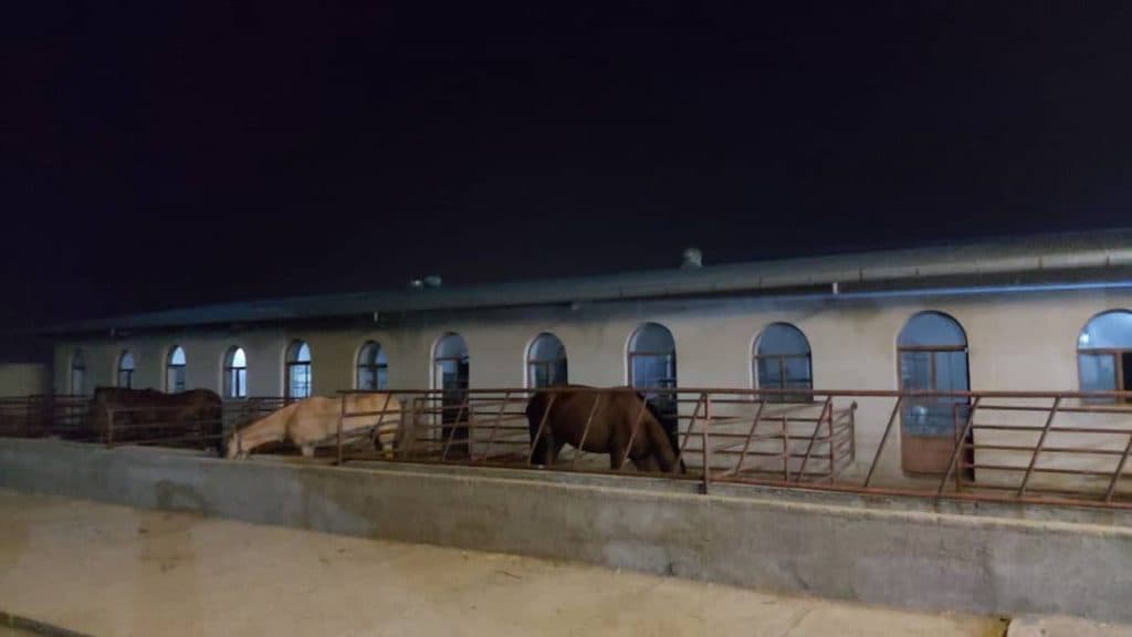 باشگاه سوارکاری آوای هورس ابهر